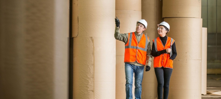 Westrock packaging rolls