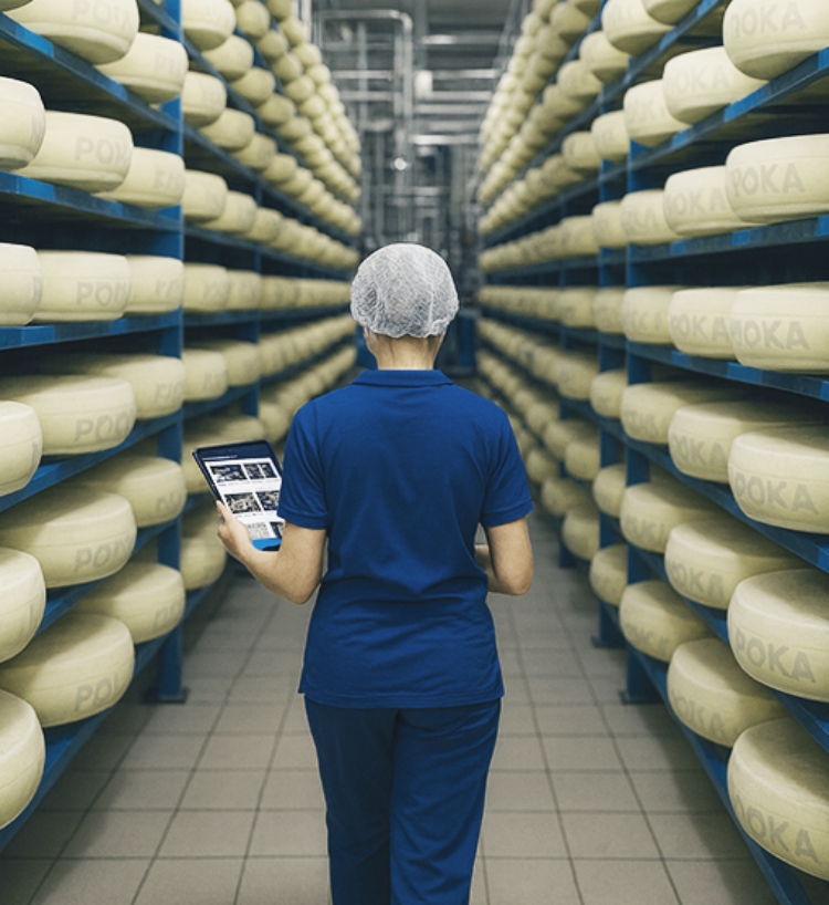 Hochland primary LP image