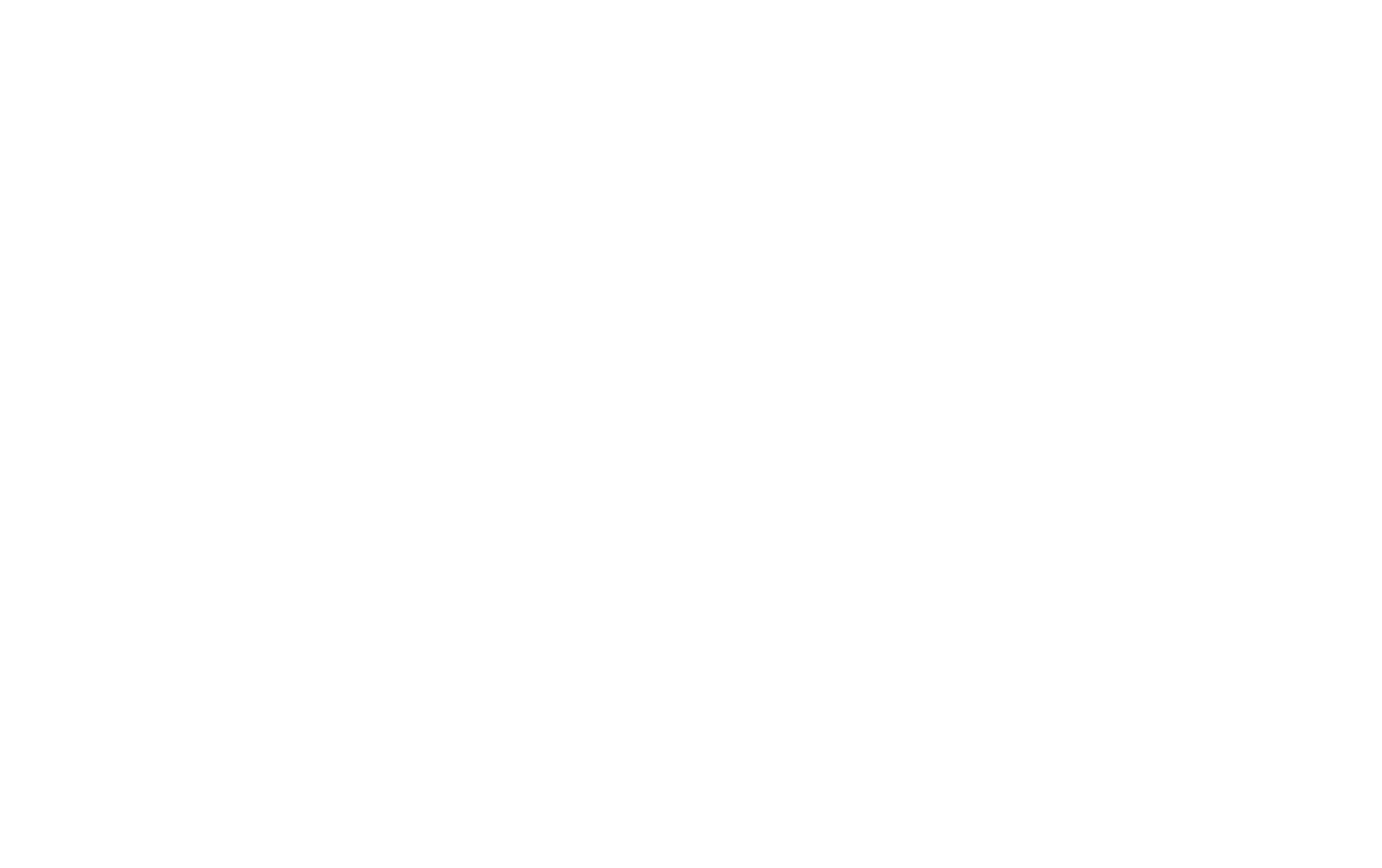 Poka Logo White